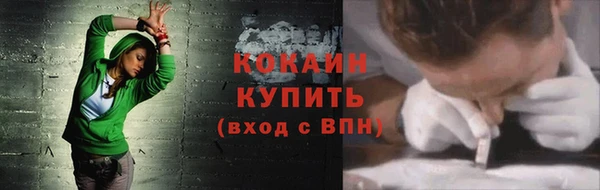 сатива Пестово