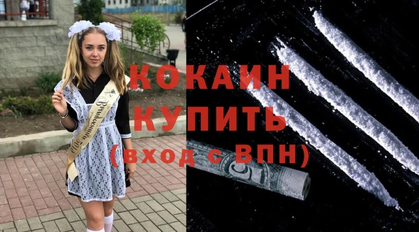 твердый Осинники