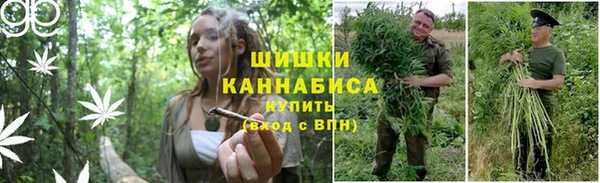 сатива Пестово