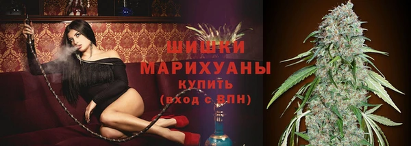 твердый Осинники