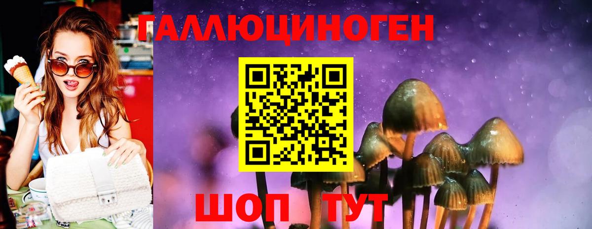 Славгород  Галлюциногенные грибы Psilocybe  Галлюциногенные грибы Psilocybe  Вход с VPN 